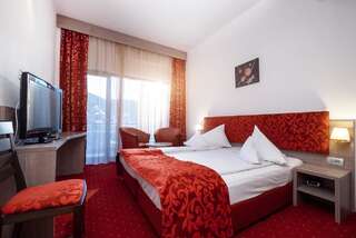Отель Hotel Tisa Бэи­ле-Олэ­неш­ти Стандартный двухместный номер с 1 кроватью или 2 отдельными кроватями-1