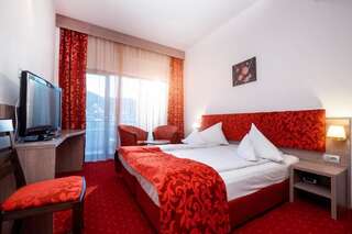 Отель Hotel Tisa Бэи­ле-Олэ­неш­ти Стандартный двухместный номер с 1 кроватью или 2 отдельными кроватями-2