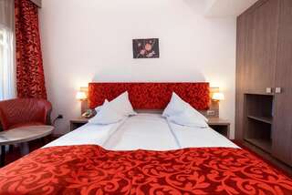 Отель Hotel Tisa Бэи­ле-Олэ­неш­ти Стандартный двухместный номер с 1 кроватью или 2 отдельными кроватями-3