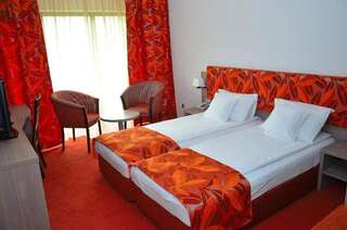 Отель Hotel Tisa Бэи­ле-Олэ­неш­ти Стандартный двухместный номер с 1 кроватью или 2 отдельными кроватями-11