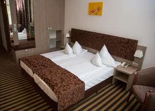 Отель Hotel Tisa Бэи­ле-Олэ­неш­ти Стандартный двухместный номер с 1 кроватью или 2 отдельными кроватями-12