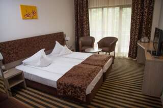 Отель Hotel Tisa Бэи­ле-Олэ­неш­ти Стандартный двухместный номер с 1 кроватью или 2 отдельными кроватями-13